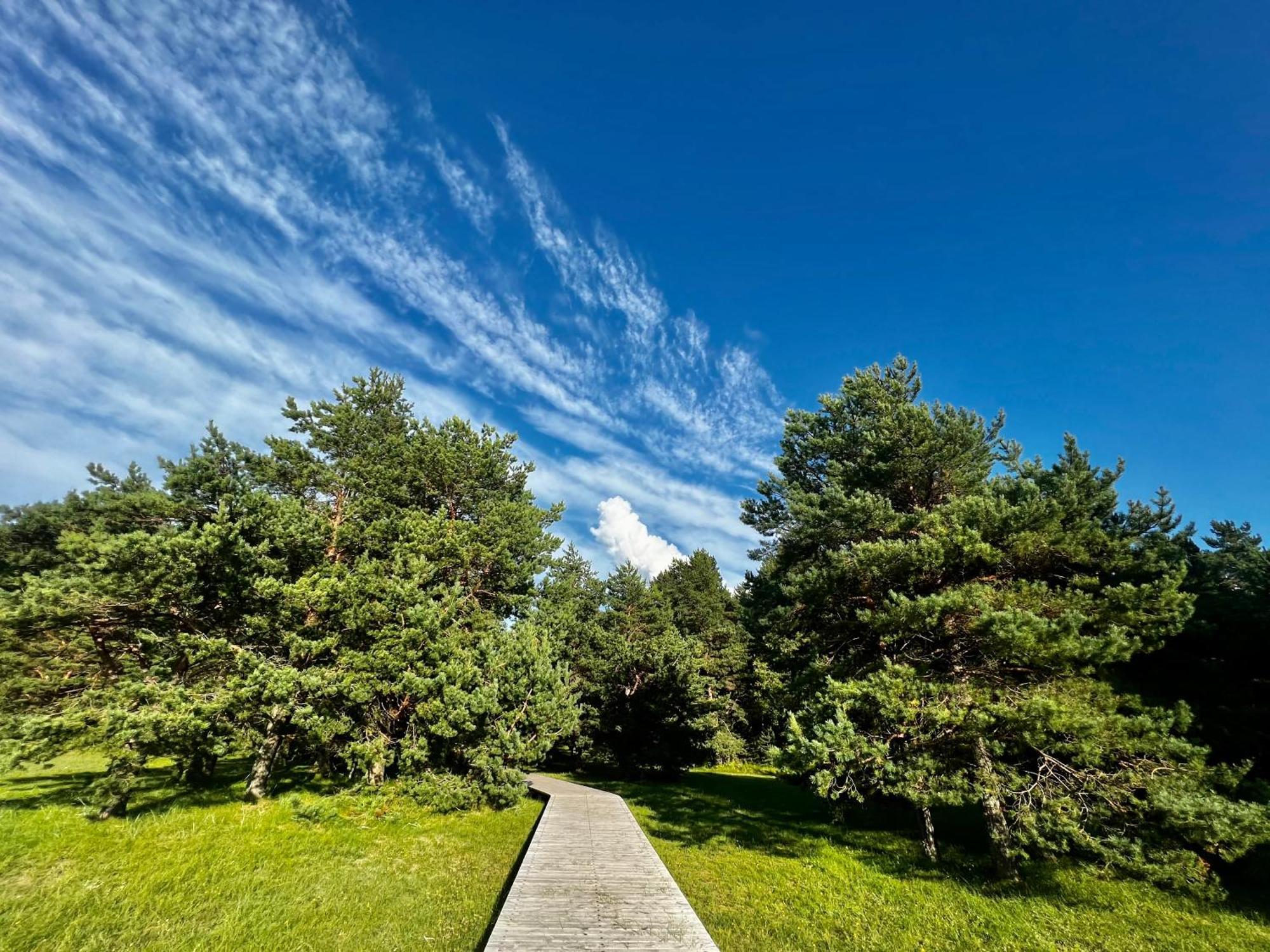 Villa Eco-House Ainaži Exterior foto